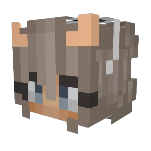 Pitunia01 Minecraft avatar head, 3D render