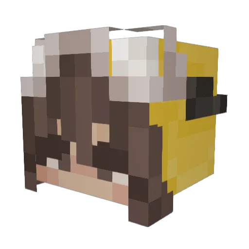 PitusaDeLimon Minecraft avatar head, 3D render