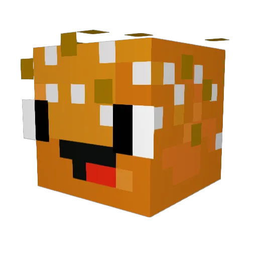 Pity13 Minecraft avatar head, 3D render