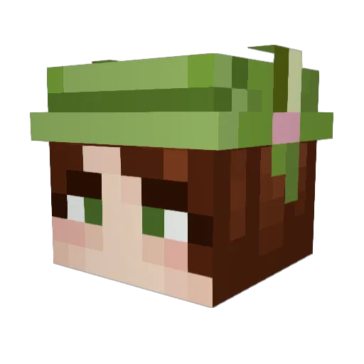 Pius55 Minecraft avatar head, 3D render