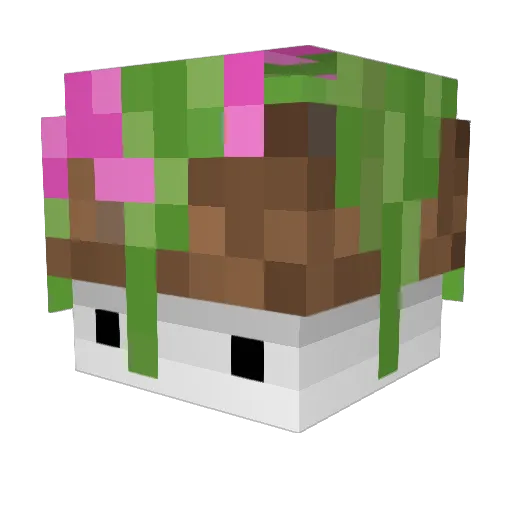 PivasikTemni Minecraft avatar head, 3D render