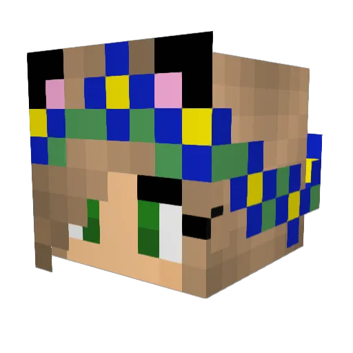 Piwi04 Minecraft avatar head, 3D render