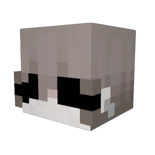 Pix3lQuantum Minecraft avatar head, 3D render