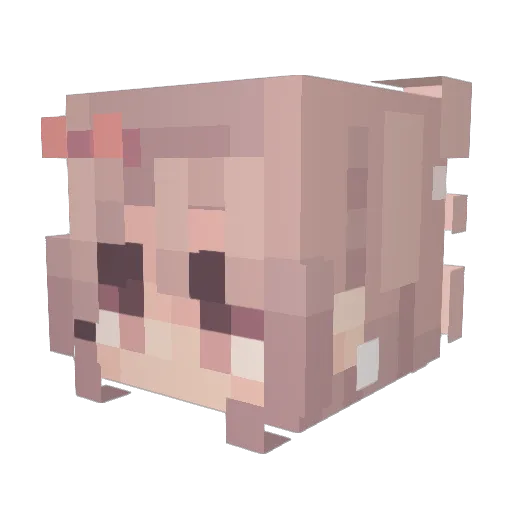 PixWillow Minecraft avatar head, 3D render