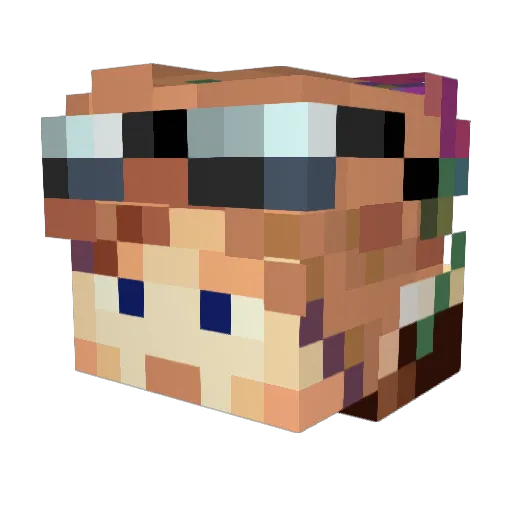 Pixacoin Minecraft avatar head, 3D render