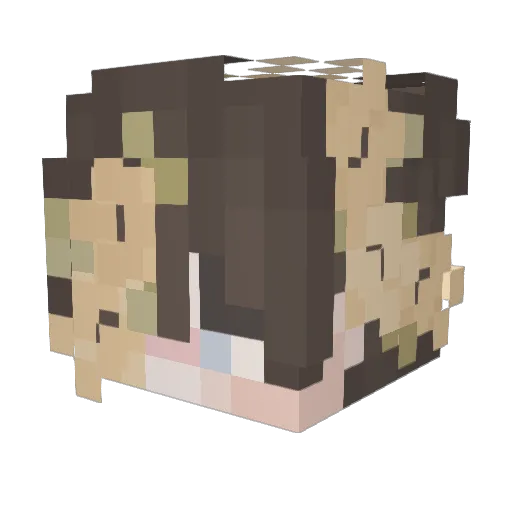 Pixe1Rainbow Minecraft avatar head, 3D render