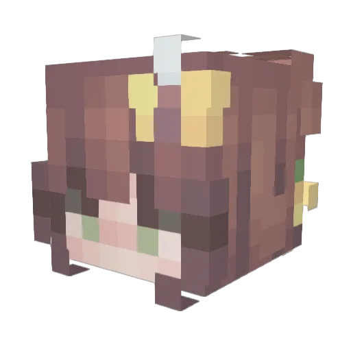 PixelFawn21 Minecraft avatar head, 3D render