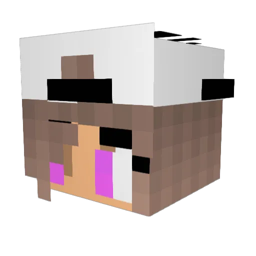 PixelHunter16 Minecraft avatar head, 3D render