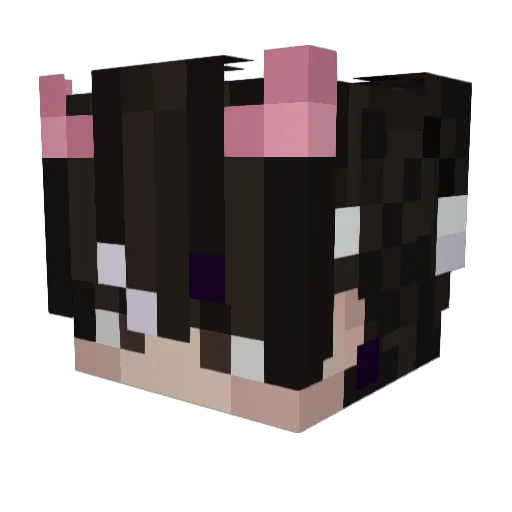 PixelLian Minecraft avatar head, 3D render