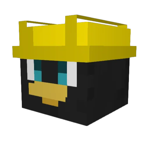 PixelPenguin999 Minecraft avatar head, 3D render