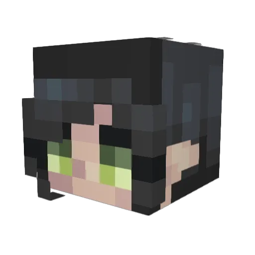 PixelPerri Minecraft avatar head, 3D render