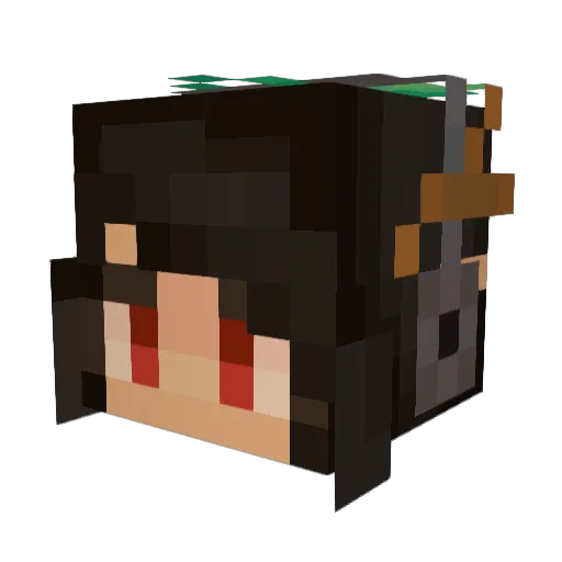 PixelPirateMC Minecraft avatar head, 3D render
