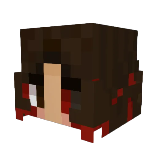 PixelRafa55 Minecraft avatar head, 3D render