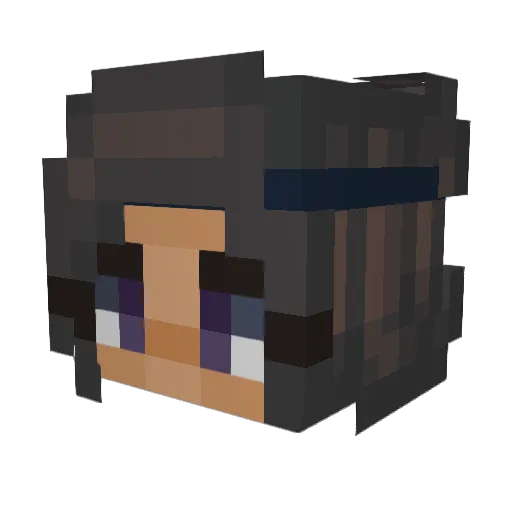 PixelWisp Minecraft avatar head, 3D render