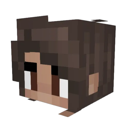 Pixel_00 Minecraft avatar head, 3D render