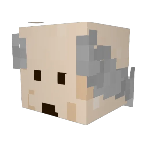 Pixel_JJ Minecraft avatar head, 3D render