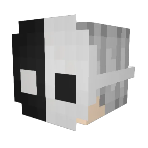 Pixel__Ty Minecraft avatar head, 3D render
