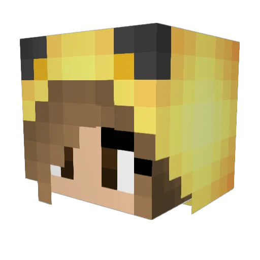 Pixel_cookie Minecraft avatar head, 3D render