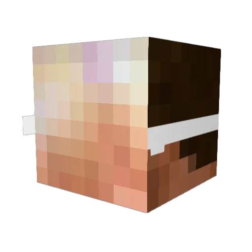 PixelatedOwl Minecraft avatar head, 3D render