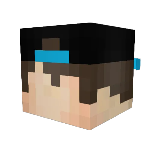 Pixelated_Gaming Minecraft avatar head, 3D render