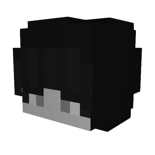 Pixelboy656 Minecraft avatar head, 3D render