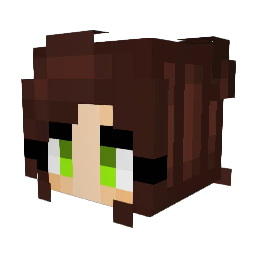 Pixeldruide Minecraft avatar head, 3D render