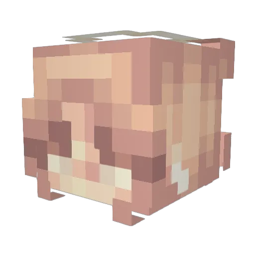 Pixeldude22 Minecraft avatar head, 3D render