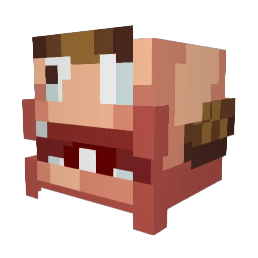 Pixellmao Minecraft avatar head, 3D render