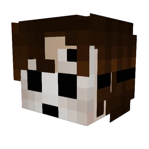 Pixelpawzz Minecraft avatar head, 3D render