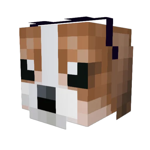 Pixiak Minecraft avatar head, 3D render