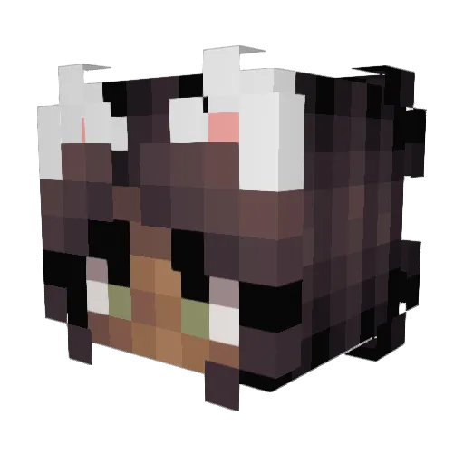 Pixibsm Minecraft avatar head, 3D render