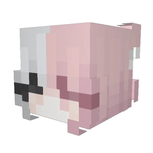 PixieDust4280 Minecraft avatar head, 3D render
