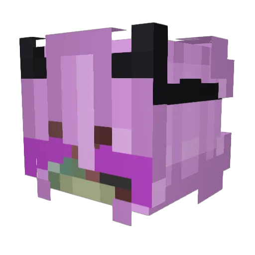 PixieStyxz Minecraft avatar head, 3D render