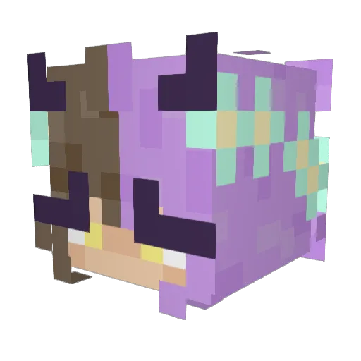 Pixie_Stickk Minecraft avatar head, 3D render