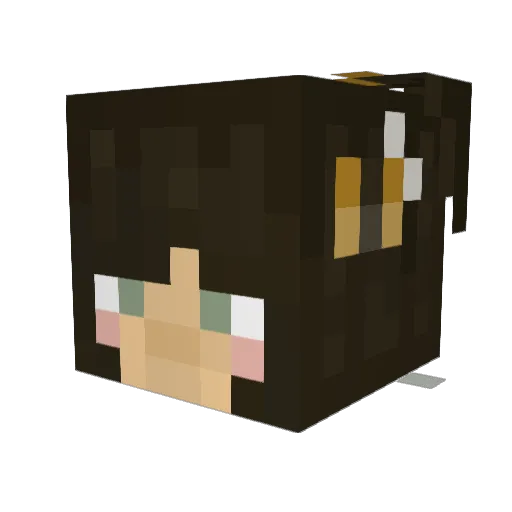 Pixieb_ Minecraft avatar head, 3D render