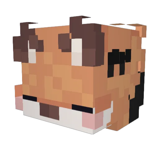 Pixiee_ Minecraft avatar head, 3D render