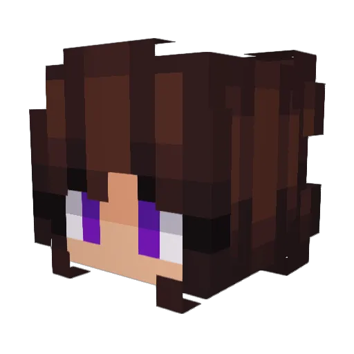 Pixiegun89 Minecraft avatar head, 3D render