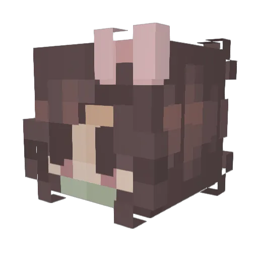 Pixistix777 Minecraft avatar head, 3D render