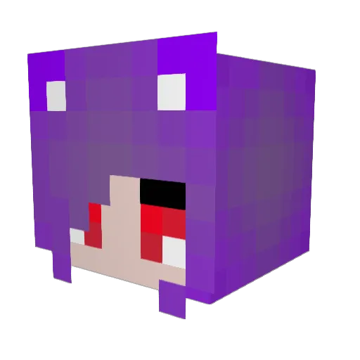 Pixl_P4w Minecraft avatar head, 3D render
