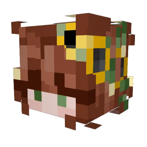 PixyWhimsy Minecraft avatar head, 3D render
