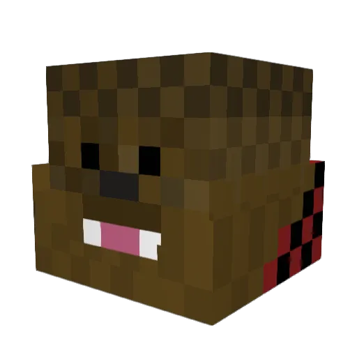 Pizleblocker Minecraft avatar head, 3D render