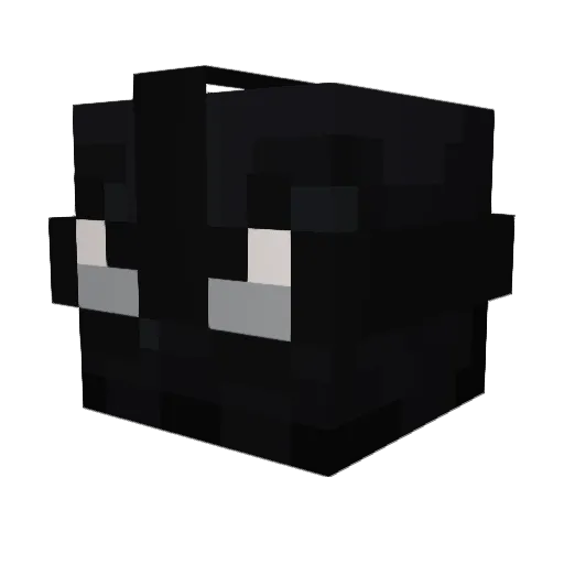 Pizz4Boy Minecraft avatar head, 3D render