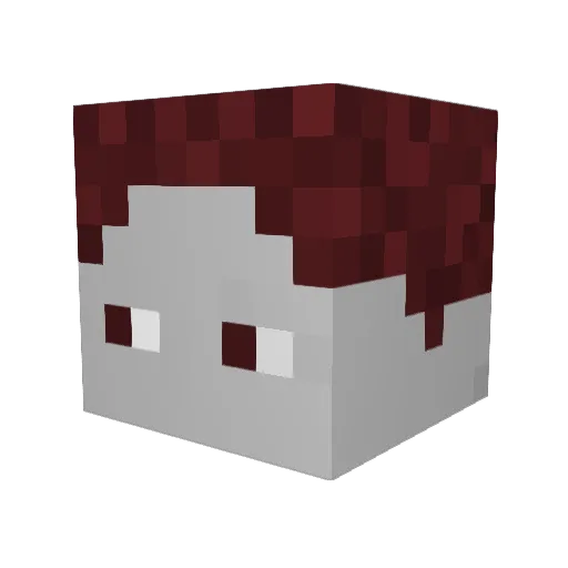 Pizza20122 Minecraft avatar head, 3D render