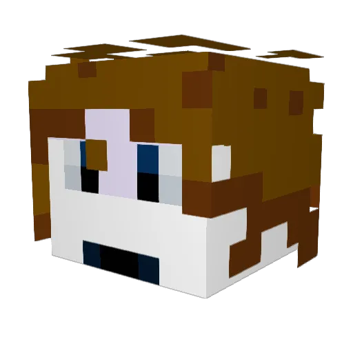 PizzaBander Minecraft avatar head, 3D render