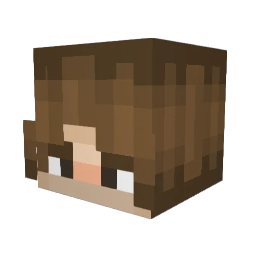 PizzaBoy90 Minecraft avatar head, 3D render