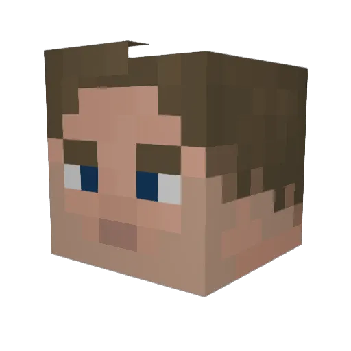 PizzaCAT55 Minecraft avatar head, 3D render