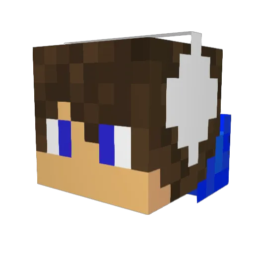 PizzaDelivered Minecraft avatar head, 3D render