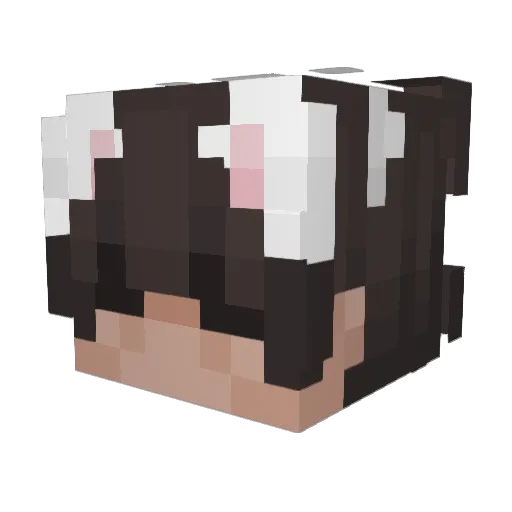 PizzaHutBathroom Minecraft avatar head, 3D render