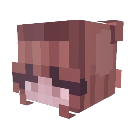 PizzaLoaf Minecraft avatar head, 3D render