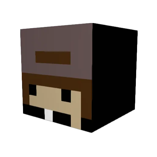 PizzaNinja428 Minecraft avatar head, 3D render